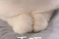 国产a斤,引领行业新潮流的匠心之作